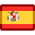 Spanish flag icon